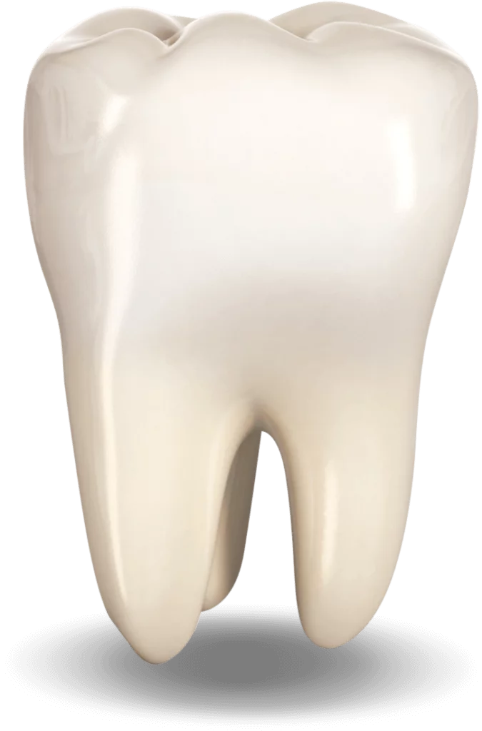 single tooth
